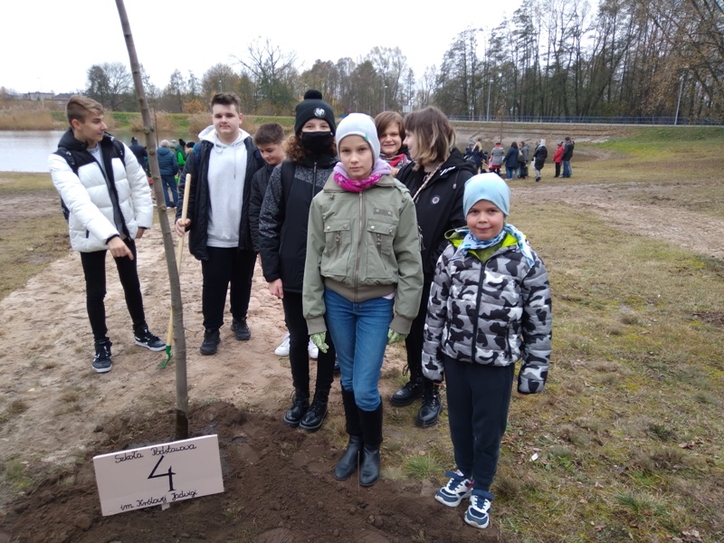 Święto drzewa