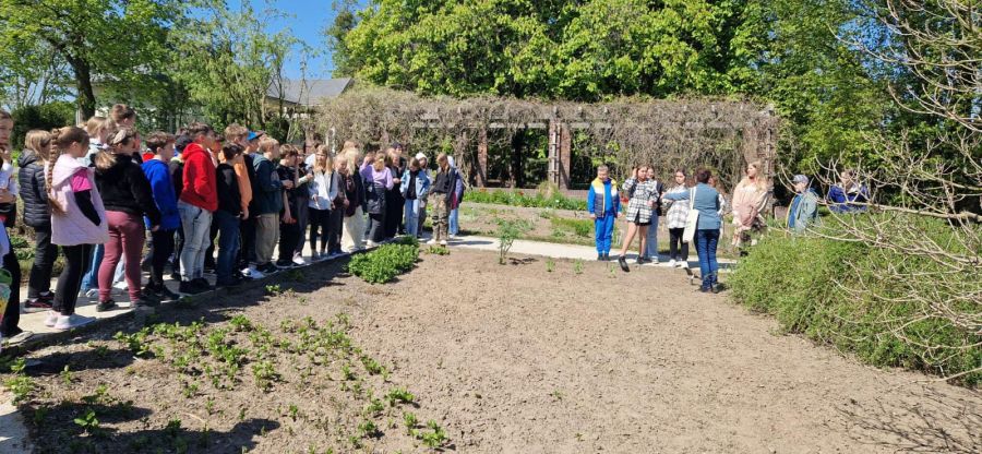 Kolorowy Uniwersytet w Ogrodzie Botanicznym