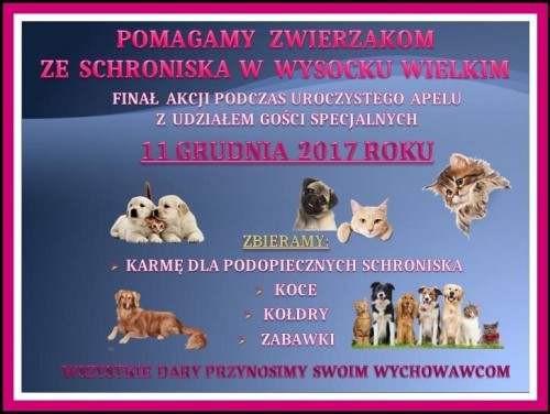 schronisko