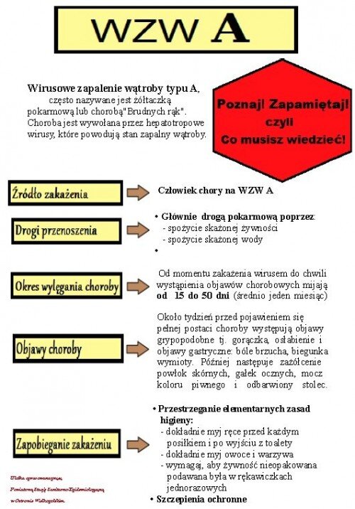 wzw a ulotka1
